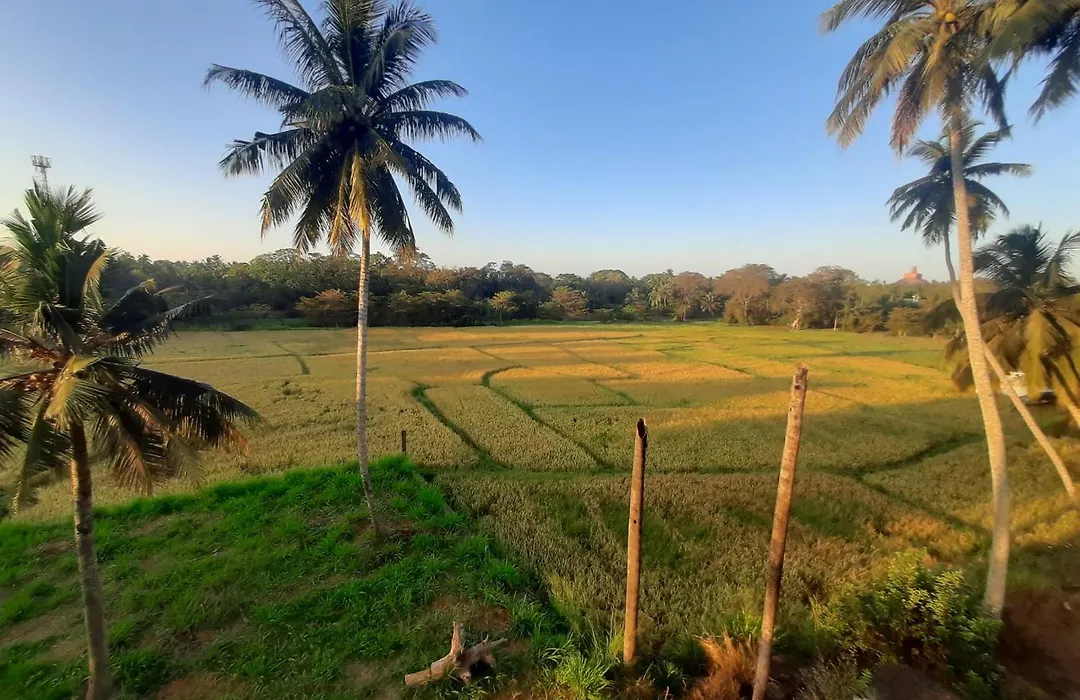 Anuradhapura Kingdom View Resort-1