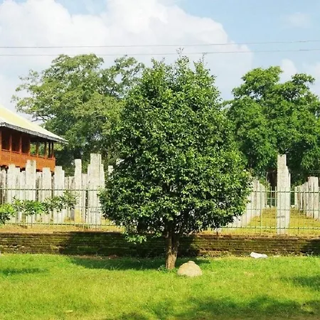 Noble Sight - Anuradhapura-3