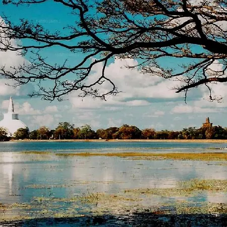 Noble Sight - Anuradhapura-2