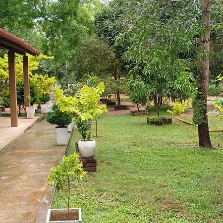 Forest Edge Villa-3