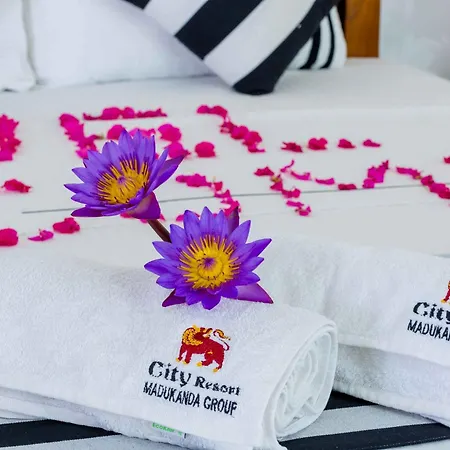 City Resort Anuradhapura-2