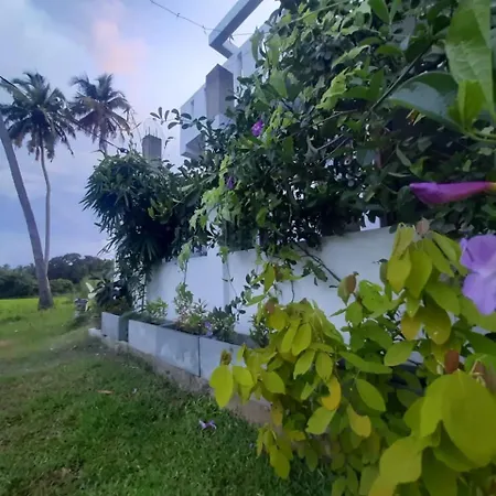 Anuradhapura Kingdom View Resort-3
