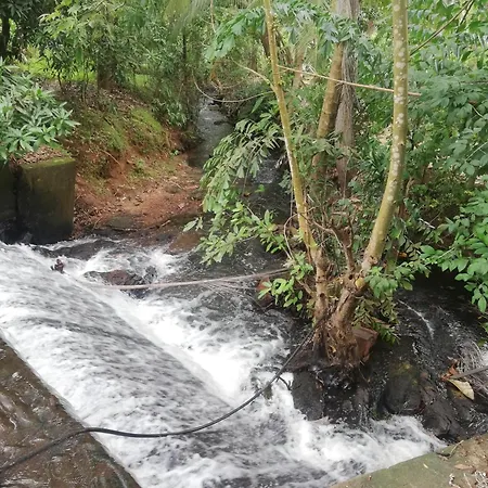Alankulama Waana Resort-3