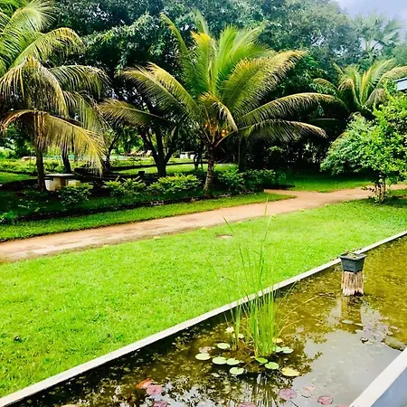 Lake Palmyra Resort-3