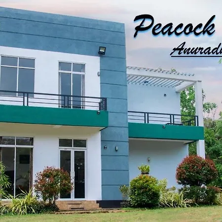 Peacock Resort-3