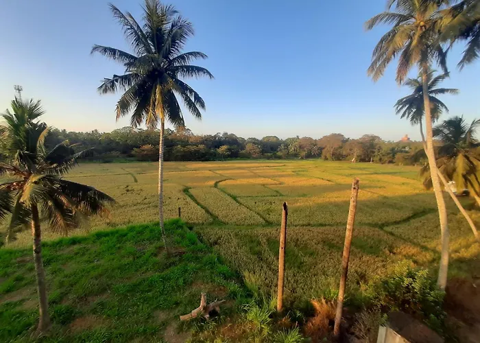 Anuradhapura Kingdom View Resort