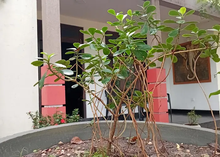 Leaf Dew Resort Anuradhapura