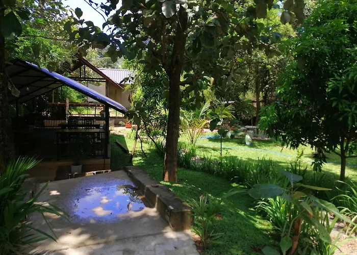 Malwathu Oya Forest Garden Anuradhapura