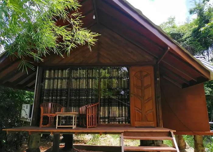 Malwathu Oya Forest Garden Anuradhapura