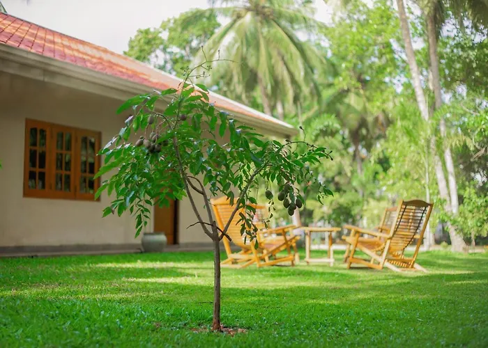 King Reach Hotel Anuradhapura